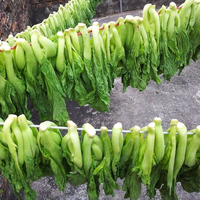 包心甜芥菜种子四季阳台小院盆栽酸菜农家蔬菜种子菜园地播
