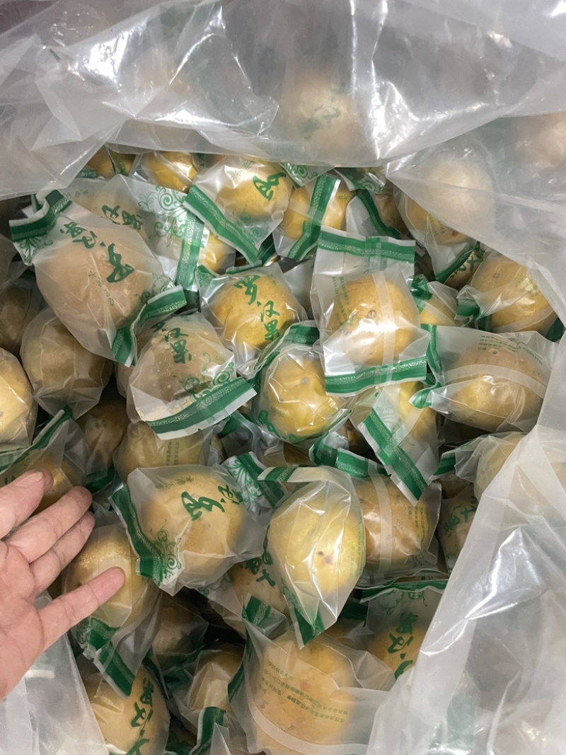 广西永福罗汉果低温脱水黄金果