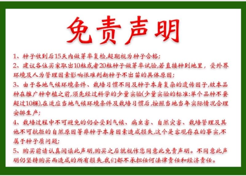 包心甜芥菜种子四季阳台小院盆栽酸菜农家蔬菜种子菜园地播