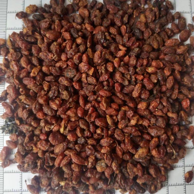 沙棘，沙棘果，新货产地直发，实拍现货，无硫24小时内发货