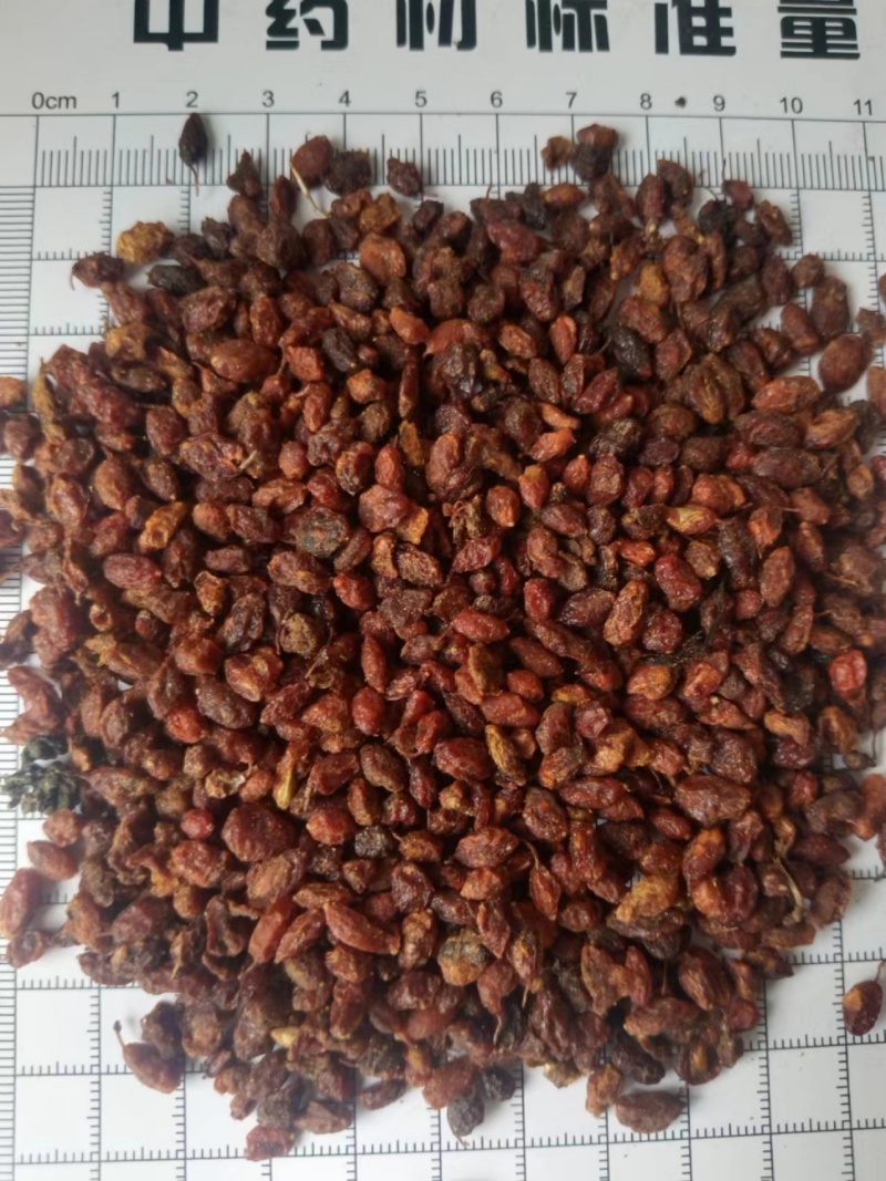 沙棘，沙棘果，新货产地直发，实拍现货，无硫24小时内发货