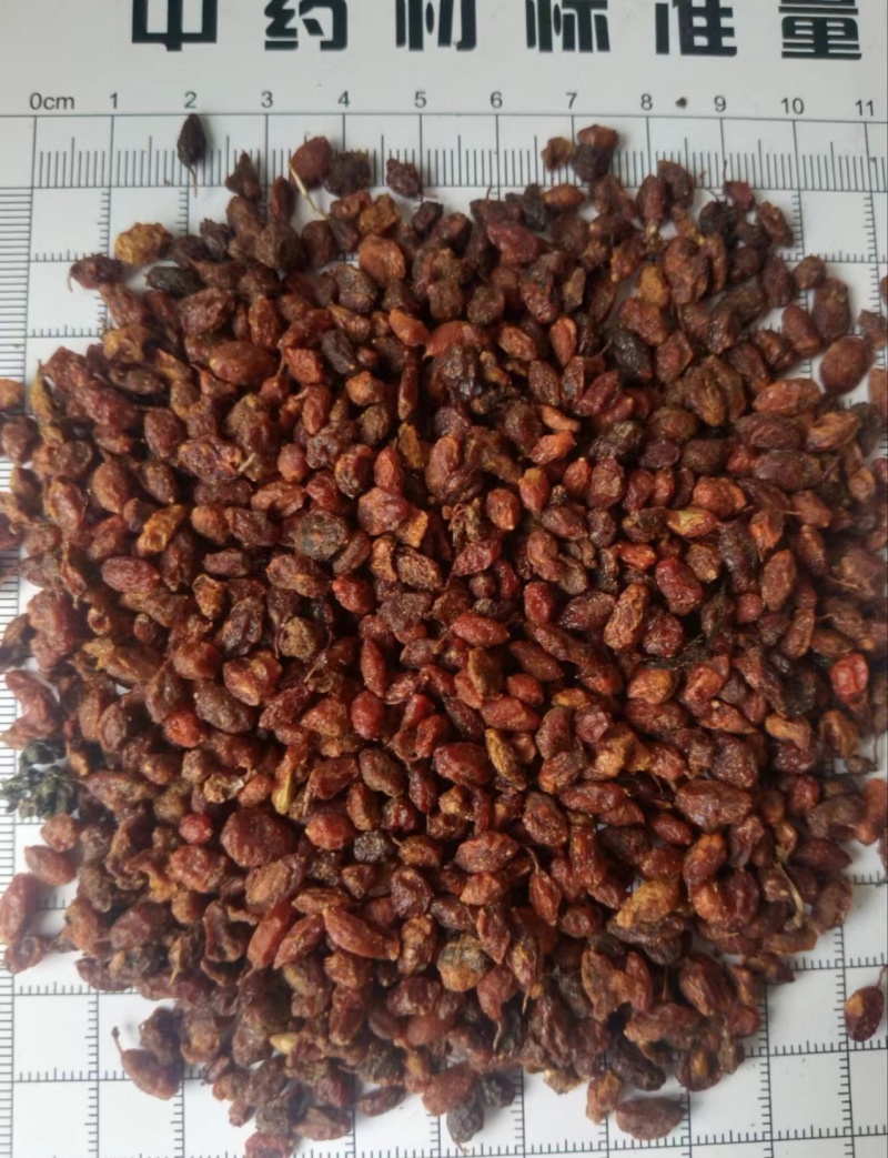 沙棘，沙棘果，新货产地直发，实拍现货，无硫24小时内发货