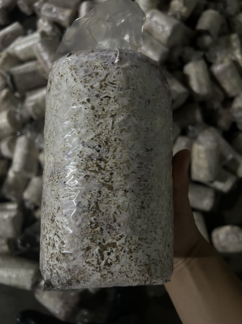 黑皮鸡纵，物美价廉，厂家直销，量大从优，需要的滴滴