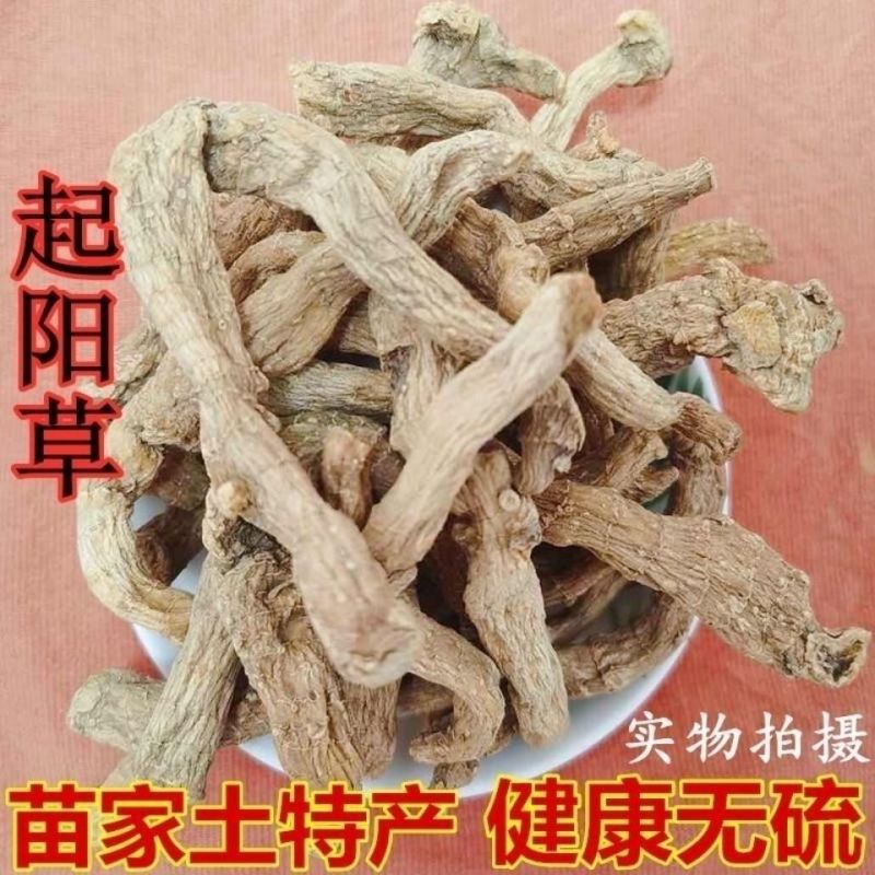 起阳草云南苗家特产中草药腰酸腰疼中药材泡酒料药酒料