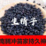 野.生.精子籽中药材云南腾冲苗家特产擎天柱干货专用