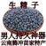 野.生.精子籽中药材云南腾冲苗家特产擎天柱干货专用