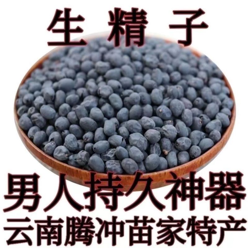 野.生.精子籽中药材云南腾冲苗家特产擎天柱干货专用