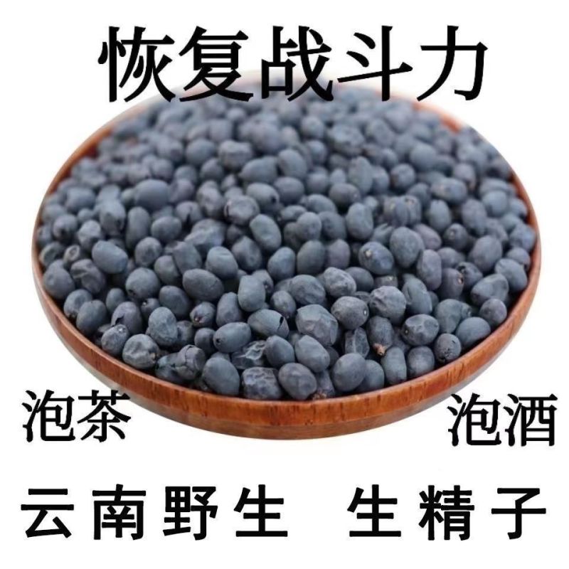 野.生.精子籽中药材云南腾冲苗家特产擎天柱干货专用
