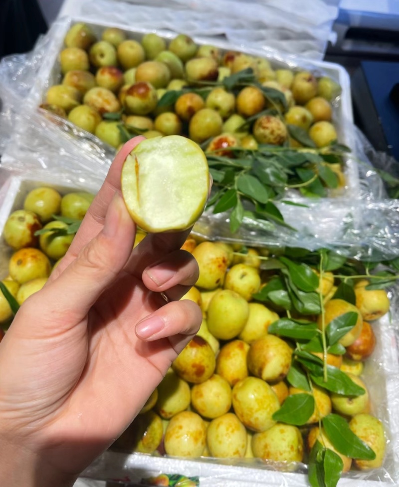 陕西精品冬枣大量现货供应，对接电商市场，团购商超