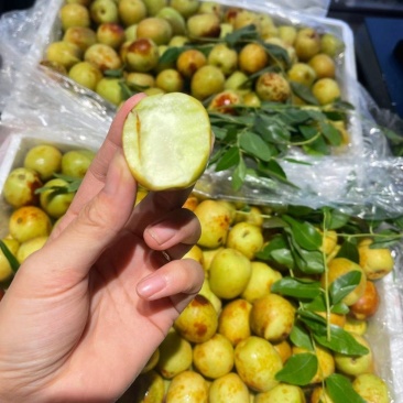 陕西精品冬枣大量现货供应，对接电商市场，团购商超