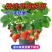 现挖现发奶油大草莓四季阳台盆栽食用草莓秧子纯甜当年结果