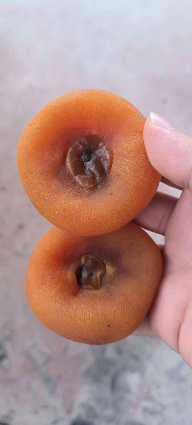 【推荐】广西柿饼/一手货源/视频看货/欢迎咨询