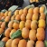 顺平特产特产甜心脆柿子，大量上市，货源充足，可视频看货，