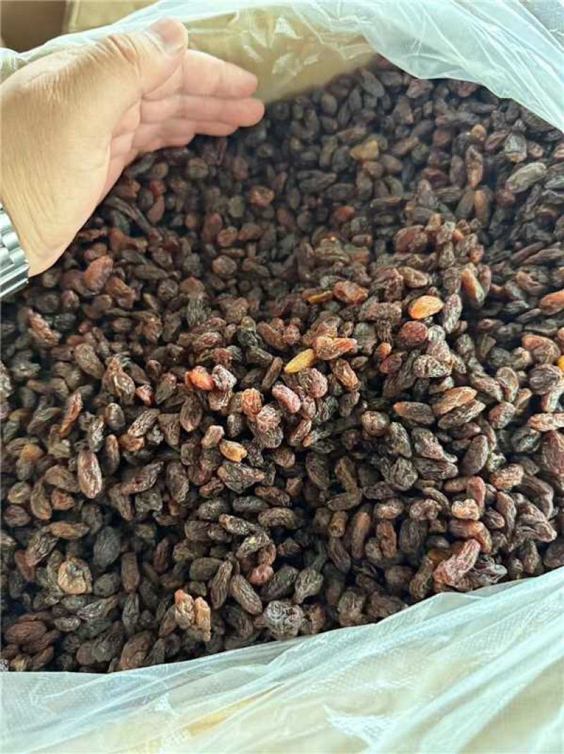 精品红提葡萄干，货源充足，产地直发，诚信经营，欢迎客商来电
