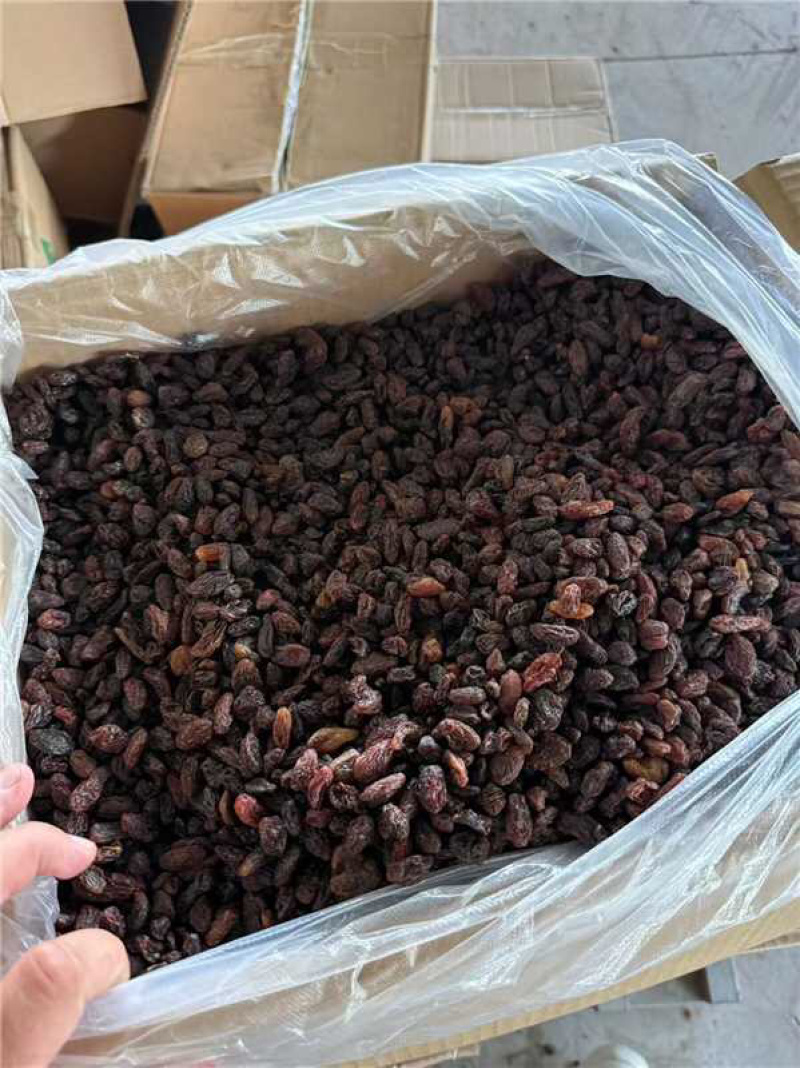 精品红提葡萄干，货源充足，产地直发，诚信经营，欢迎客商来电