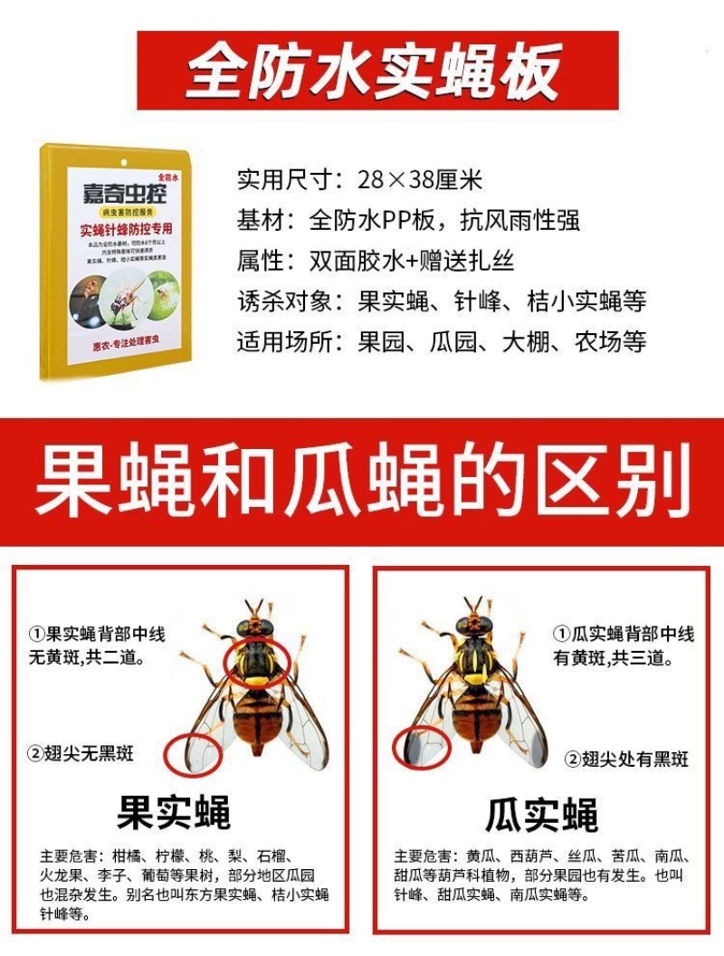 瓜果实蝇粘胶板针蜂诱粘剂防针蜂贴菜园果树粘虫板果蝇诱捕器