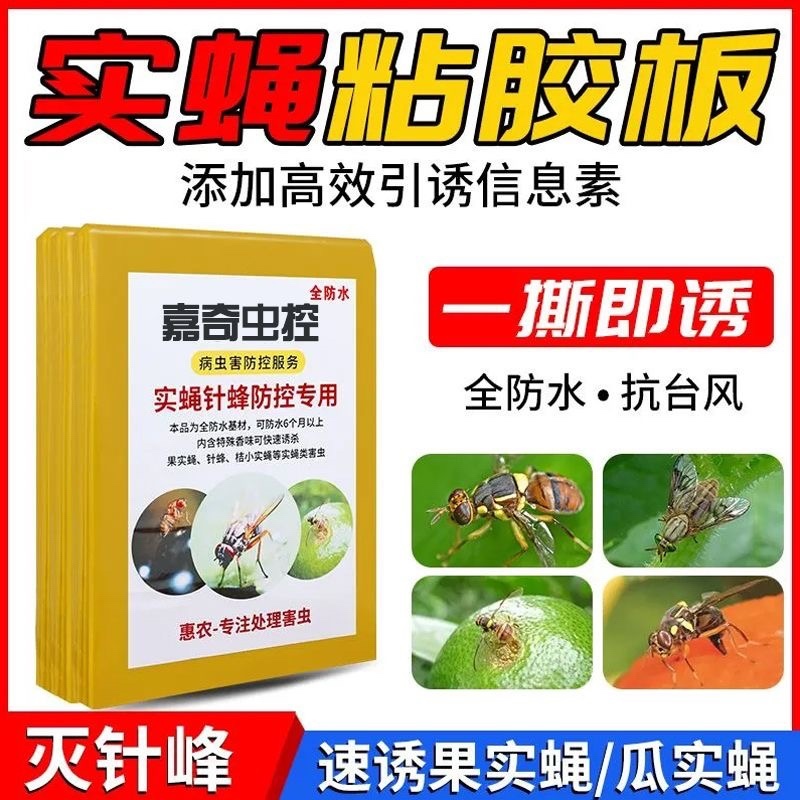 瓜果实蝇粘胶板针蜂诱粘剂防针蜂贴菜园果树粘虫板果蝇诱捕器