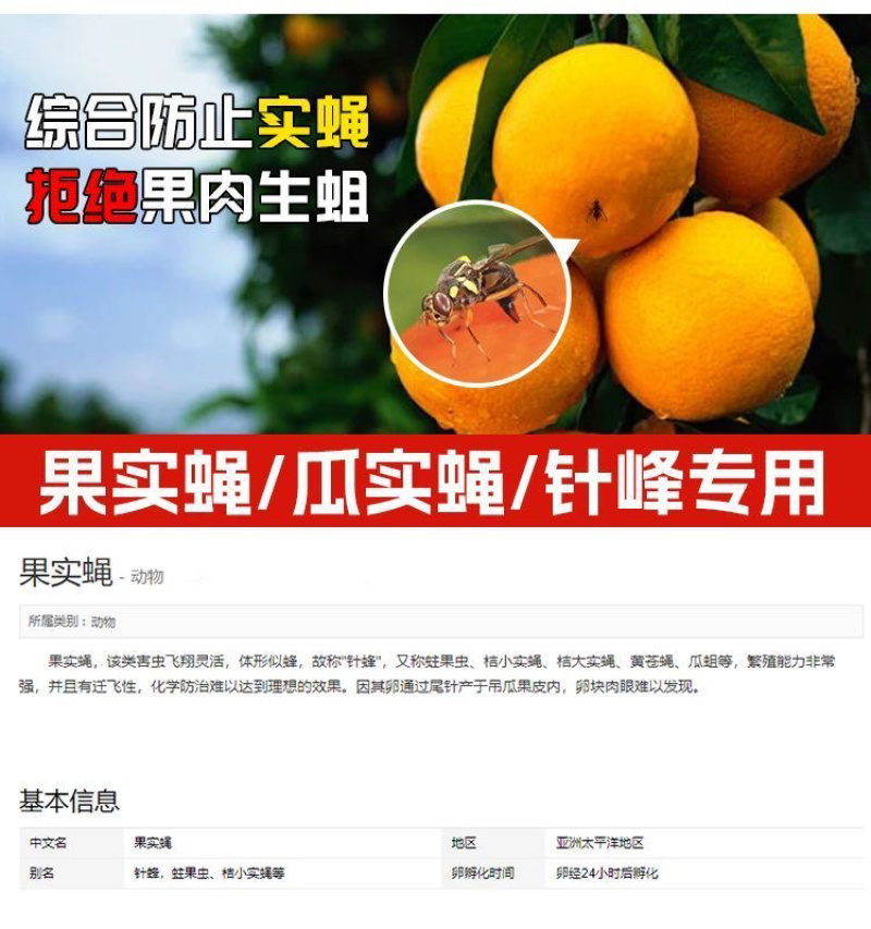 瓜果实蝇粘胶板针蜂诱粘剂防针蜂贴菜园果树粘虫板果蝇诱捕器