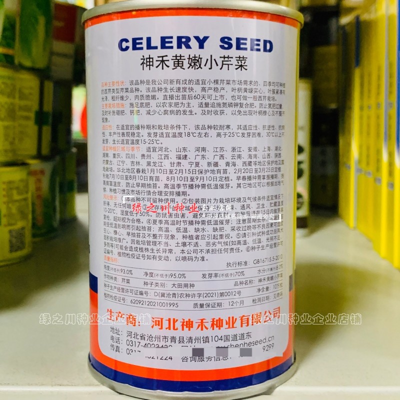 芹菜种籽四季黄嫩小芹菜种子速生香芹种子高产黄绿实心芹蔬菜