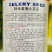 芹菜种籽四季黄嫩小芹菜种子速生香芹种子高产黄绿实心芹蔬菜