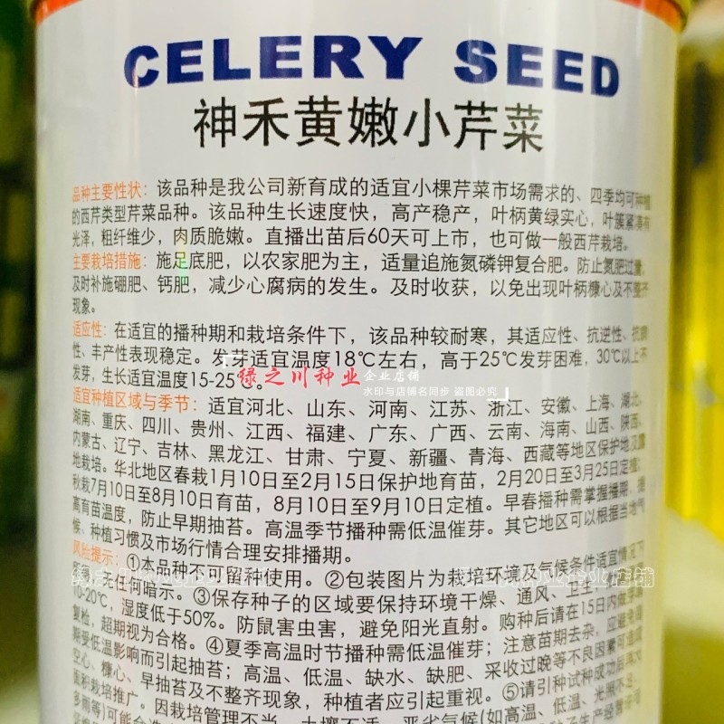 芹菜种籽四季黄嫩小芹菜种子速生香芹种子高产黄绿实心芹蔬菜