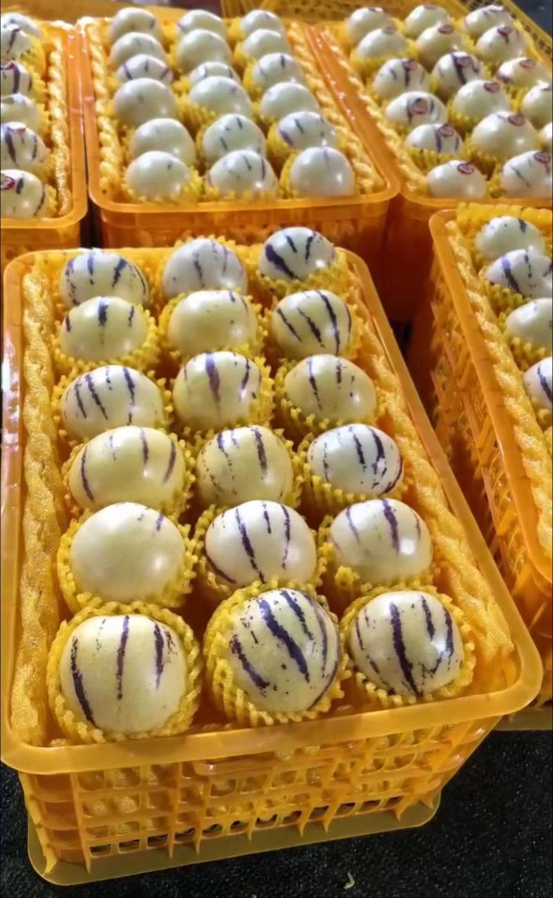 鲜源参果，石林风化石土地生长，清甜多汁，健康美味佳肴