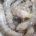 厂家直销无冰衣手手扒速冻鲜虾仁