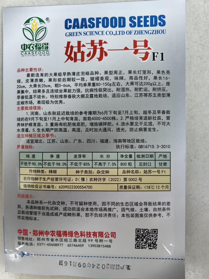 姑苏一号薄皮椒种子早熟大果褶皱苏椒泡椒黄皮耐热薄皮辣椒种