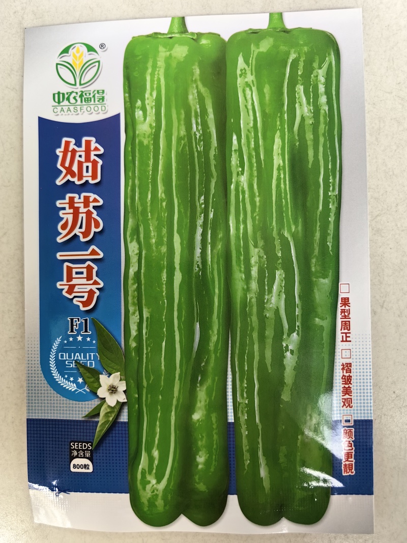 姑苏一号薄皮椒种子早熟大果褶皱苏椒泡椒黄皮耐热薄皮辣椒种