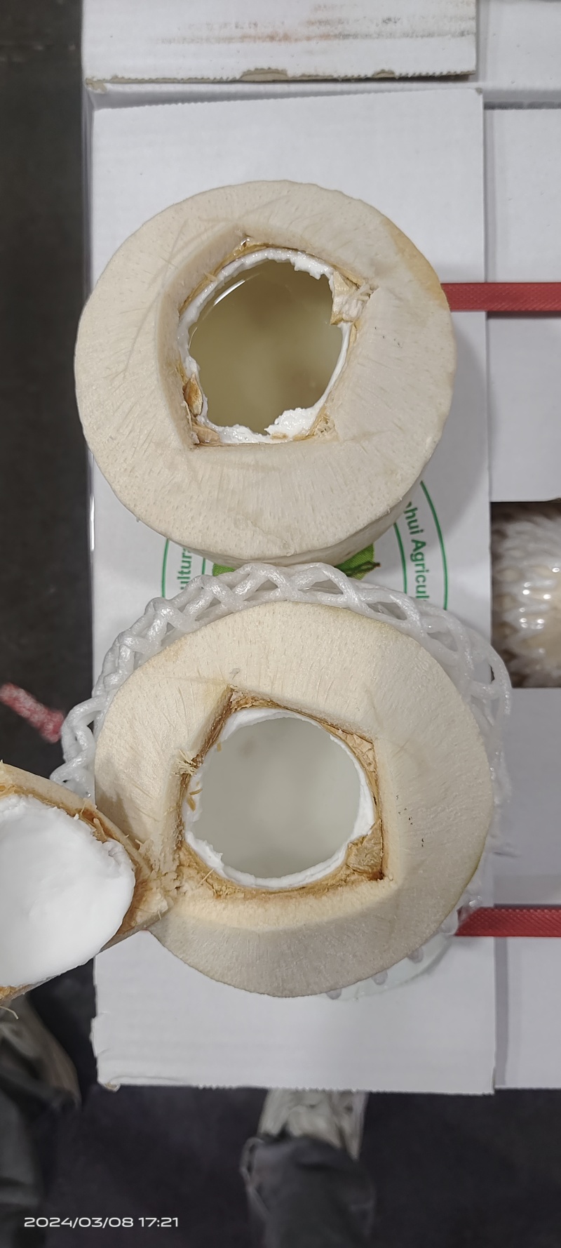 【推荐】精品泰国香椰-椰皇-泰国原产地直发，一手货源