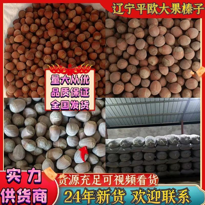 新鲜本溪榛子，平欧大果榛子产地直供，营养丰富，口感鲜美，