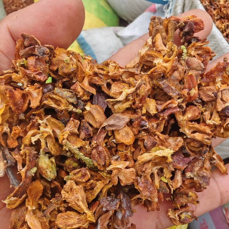 选柏壳产品，享天然纯净品质。专业指导用法，贴心售后，欢迎
