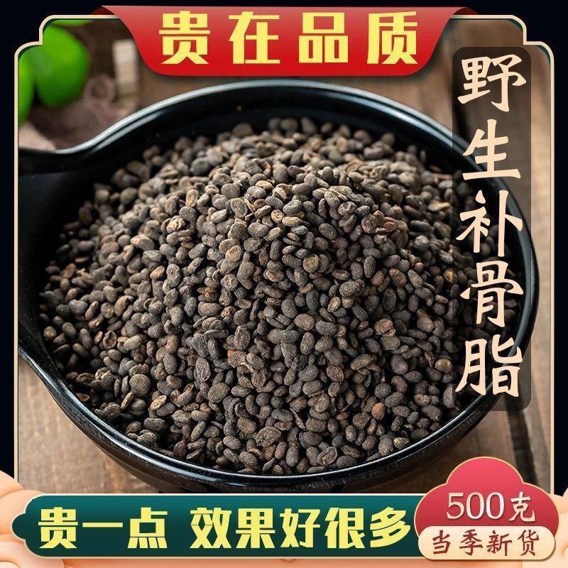 中药材补骨脂破故纸无硫补骨脂故纸破纸子颗粒饱满