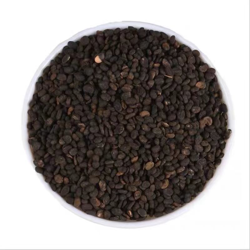 中药材补骨脂破故纸无硫补骨脂故纸破纸子颗粒饱满