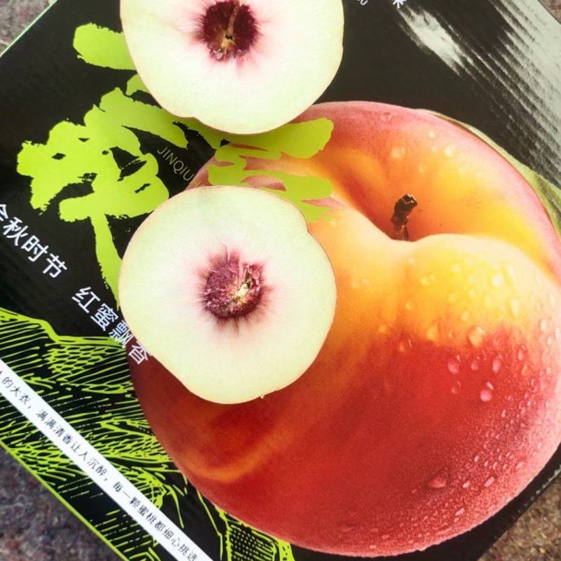 金秋红蜜支持一件代发