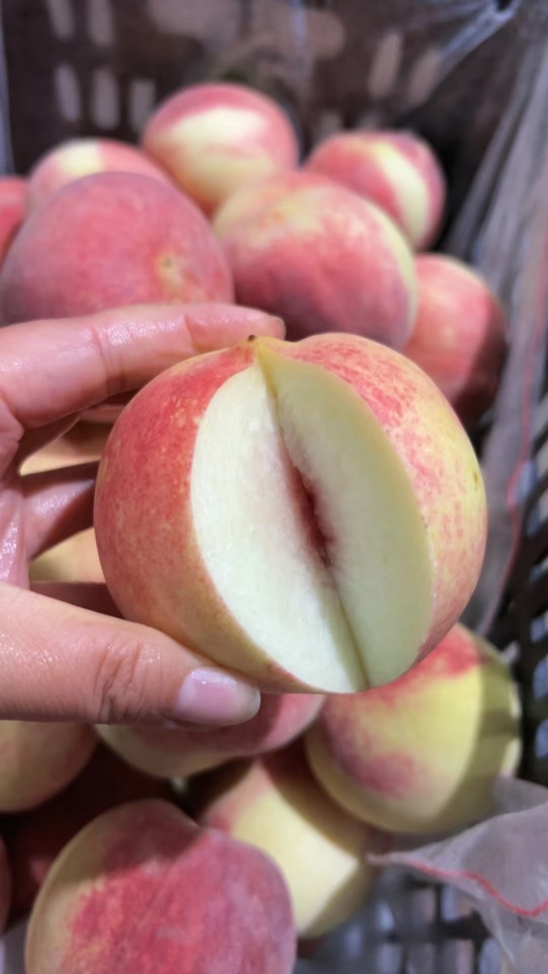 金秋红蜜支持一件代发