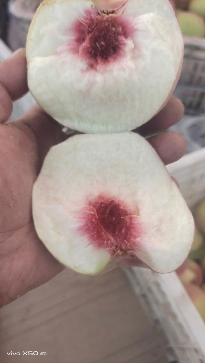 金秋红蜜支持一件代发