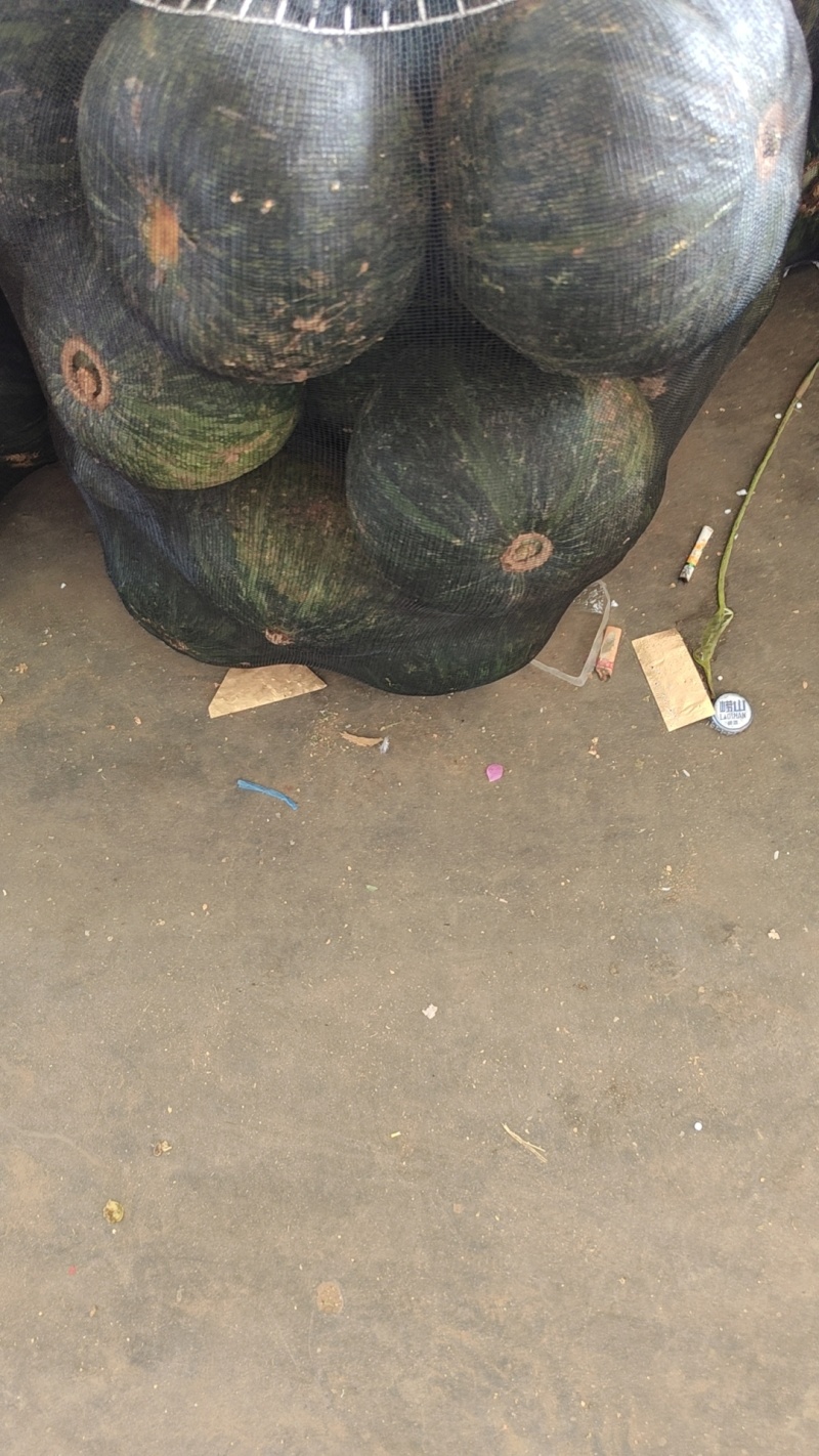 产地直发，麻仔贝贝瓜，大量有货量大从优欢迎来电