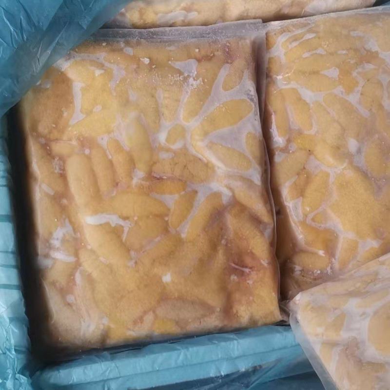 精品鲈鱼籽