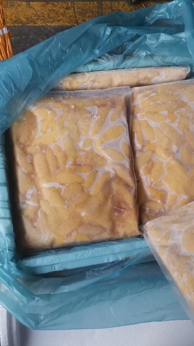 精品鲈鱼籽