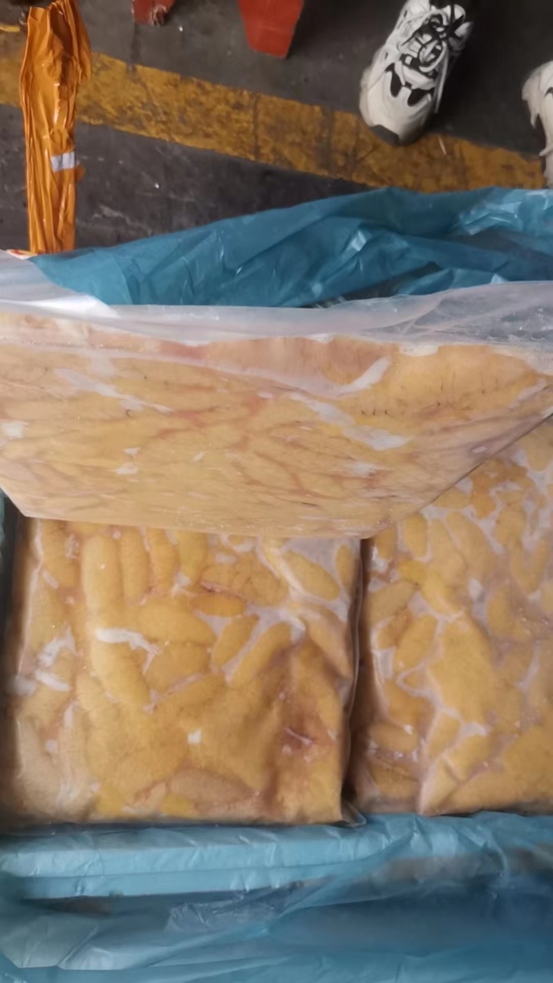 精品鲈鱼籽