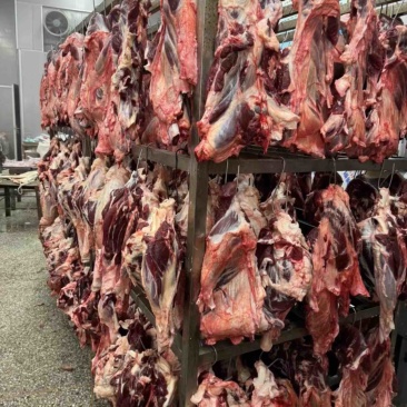 纯干排酸全牛牛肉，四分体牛肉，全牛