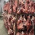 纯干排酸全牛牛肉，四分体牛肉，全牛