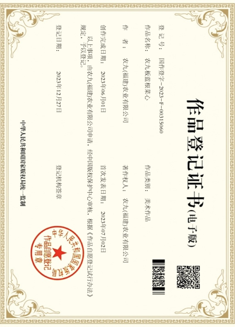 农九板蓝根菜心板蓝根菜苔含板蓝根成份授权省市代理商