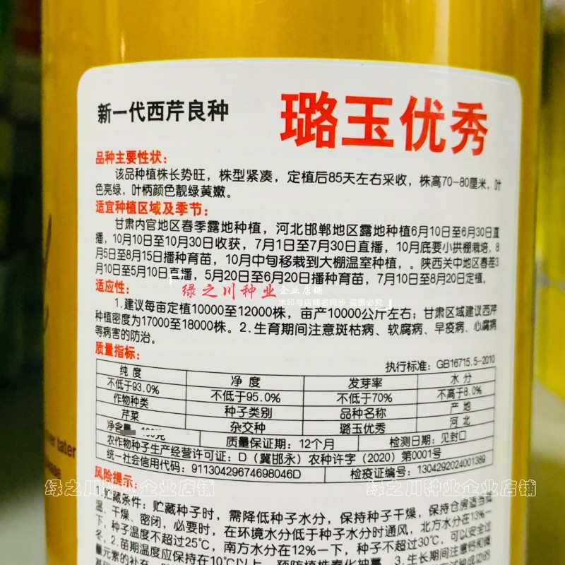 璐玉**西芹种子进口芹菜种子实心大号西芹四季蔬菜种籽抗病