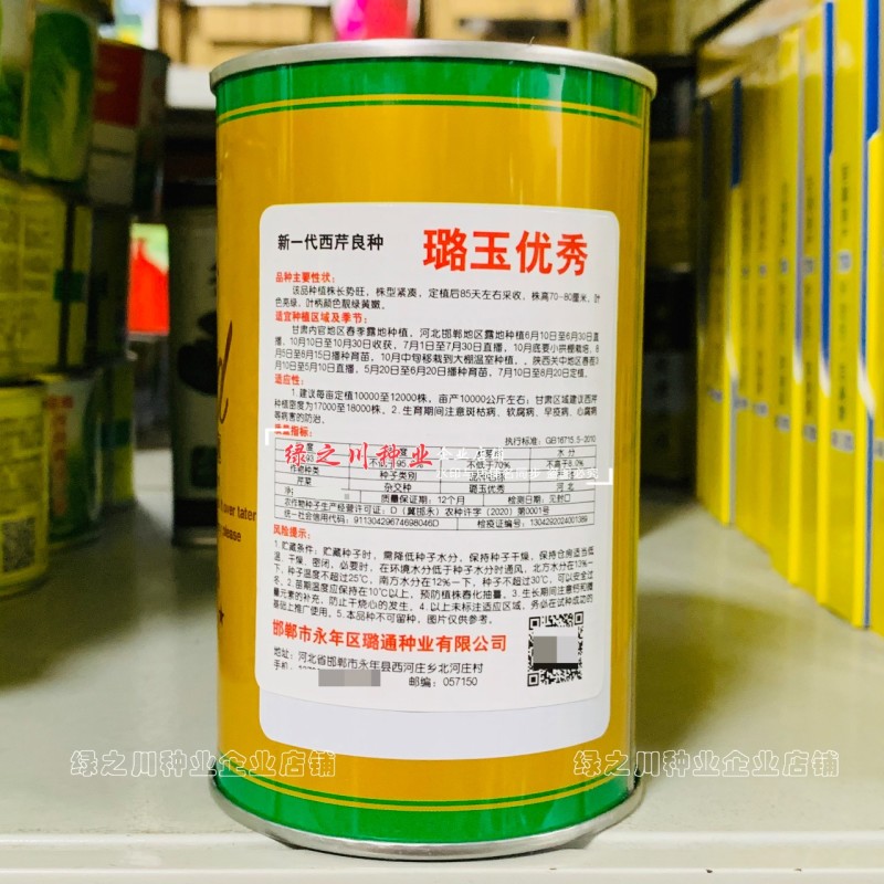 璐玉**西芹种子进口芹菜种子实心大号西芹四季蔬菜种籽抗病