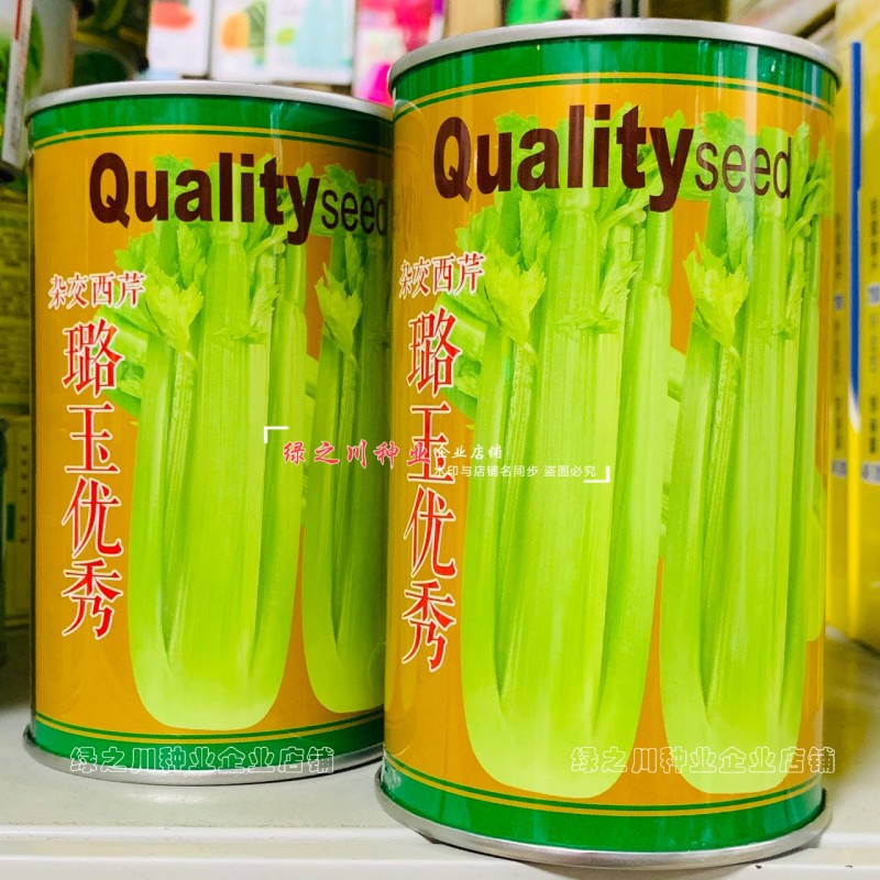 璐玉**西芹种子进口芹菜种子实心大号西芹四季蔬菜种籽抗病