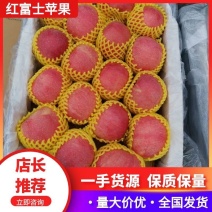 【推荐】绥中红富士苹果一手货源供应市场商超电商量大价优