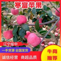 【推荐】辽宁寒富苹果现摘现发皮薄脆甜量大质优