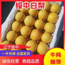 【推荐】精品白梨辽宁绥中白梨现摘现发质量保证